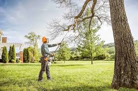 Best Lawn Pest Prevention  in Avon, PA